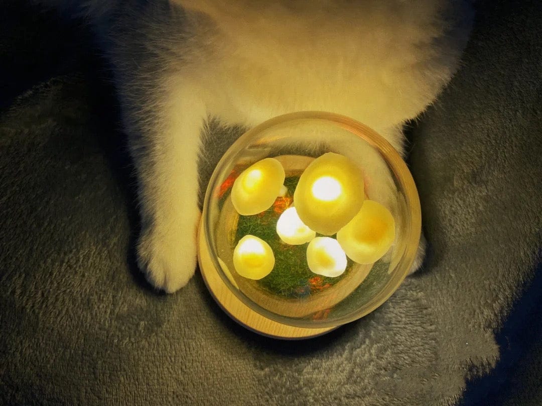 Betoverende DIY paddestoellamp voor thuisdecoratie