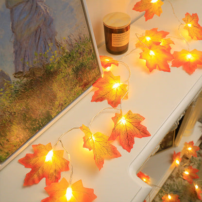 Herfst decoratieverlichting | 50% KORTING