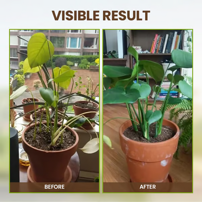 SoilGuard – Professioneel oplosmiddel 120 g | Koop 1+1 GRATIS