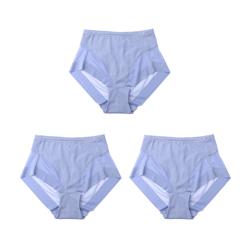 SilkShape – Hoge taille ijszijde corrigerend ondergoed | 1+2 GRATIS