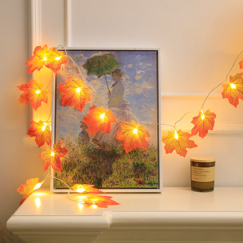 Herfst decoratieverlichting | 50% KORTING