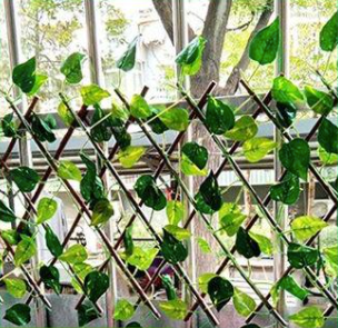 Uitbreidbaar Tuinhek - Verstelbaar Houten Tuinhek Voor Privacy & Decoratie