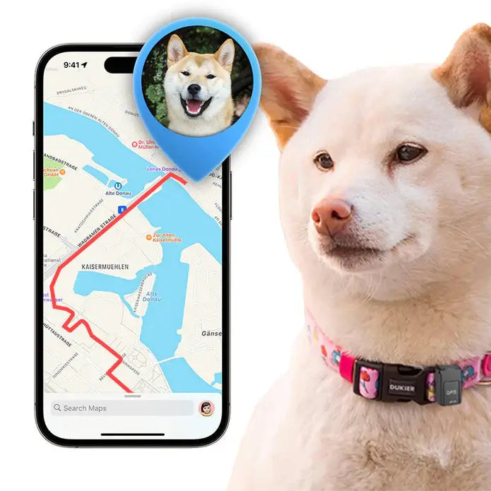 GPS-lokalisatie voor maximale veiligheid