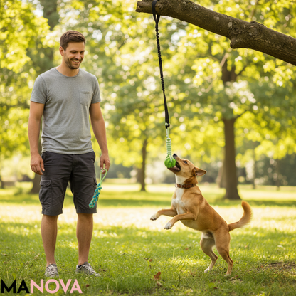 DierBite - Zorgt voor uren speelplezier en beweging voor uw hond | 50% KORTING
