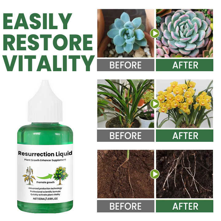 PlantVitaal™ – Herleef je Planten met Resurrection Liquid! | 1+2 GRATIS
