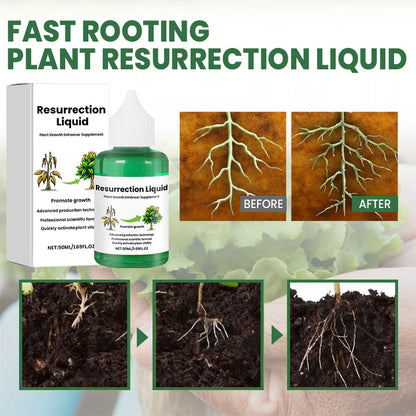 PlantVitaal™ – Herleef je Planten met Resurrection Liquid! | 1+2 GRATIS