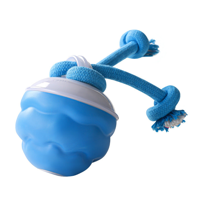 WhirlPaw – Interactieve Speelbal | 2+1 GRATIS