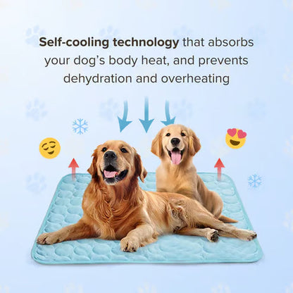 ChillPaw Matte – Direct Koeling en Comfort