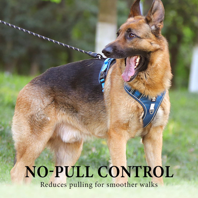 SafeWalk — Veilig Hondentuigje | 50% KORTING