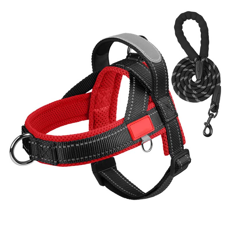 Total Comfort Harnas — Stressvrije, Veilige Wandelingen