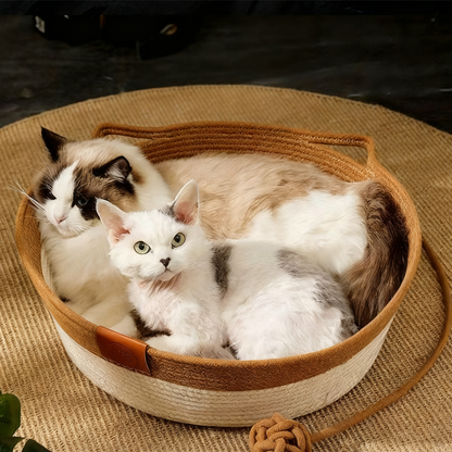 PurrNest – De Ultieme Gezellige Speelmaatje