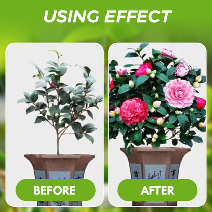 PlantPower Elixer 130ml — Stimuleer Levendige, Moeiteloze Groei