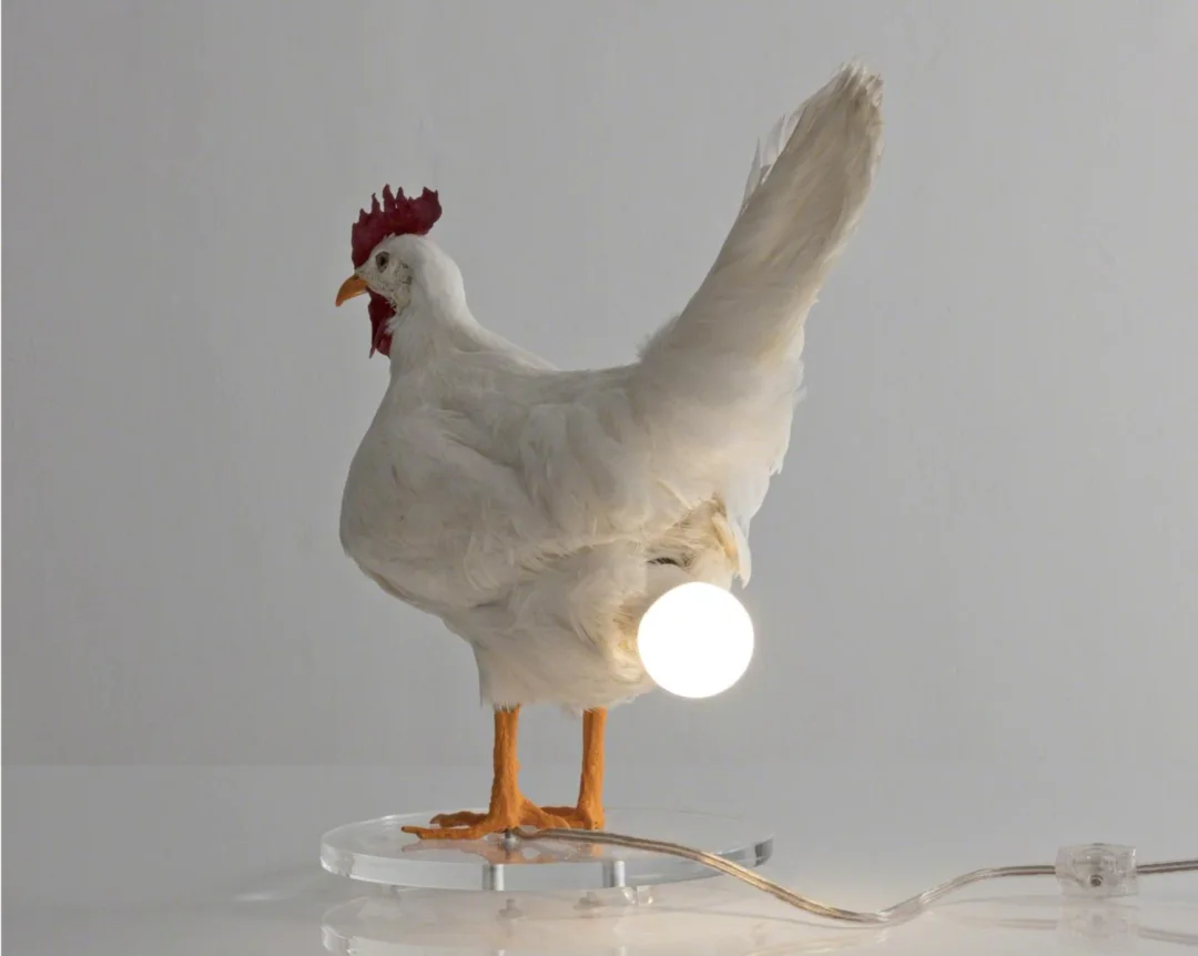 The CluckLight — Ontsteek Warmte, Inspireer Vreugde