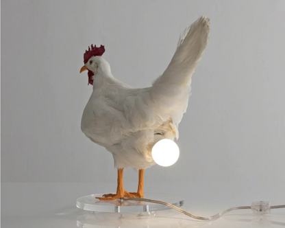 The CluckLight — Ontsteek Warmte, Inspireer Vreugde