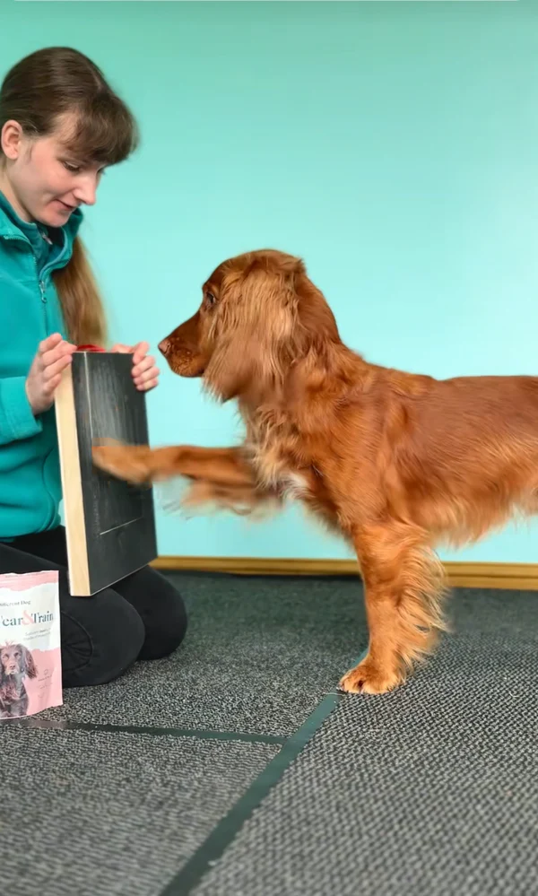 ApexPaw Nagelbord — Stressvrije Nagelverzorging