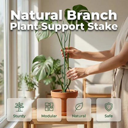 GardenGuard Palen — Verborgen Kracht, Moeiteloze Groei