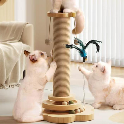 WhiskerJoy — Eindeloos Vrolijk Katplezier