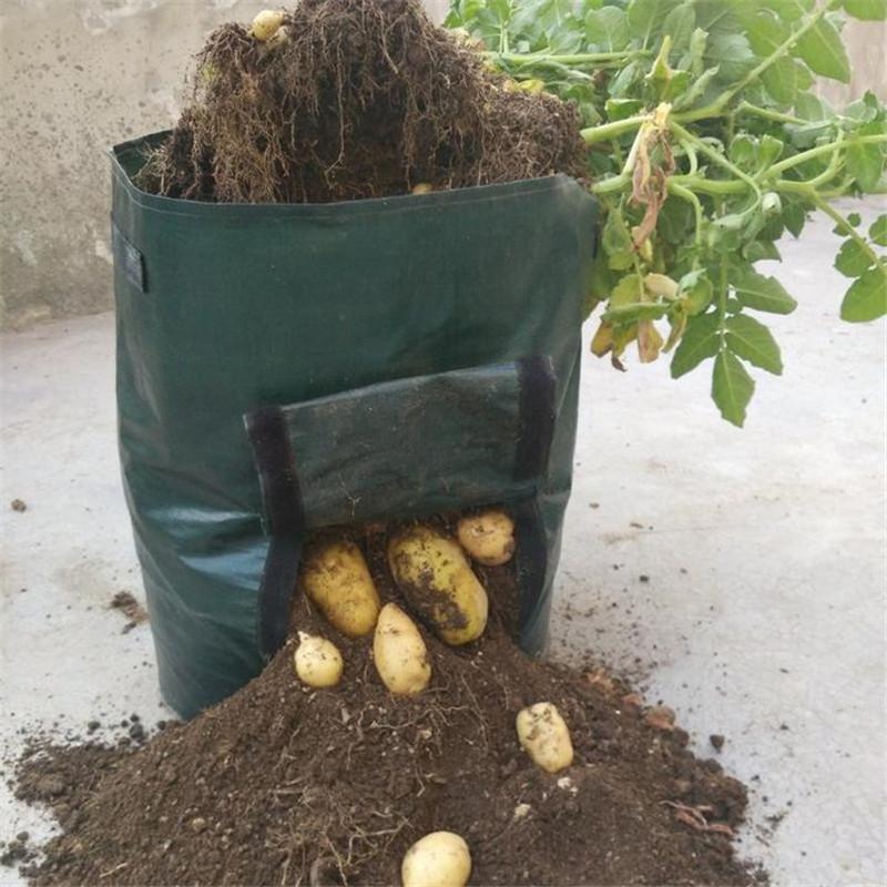 GrowMate — Overvloedige Oogst, Moeiteloos Genot