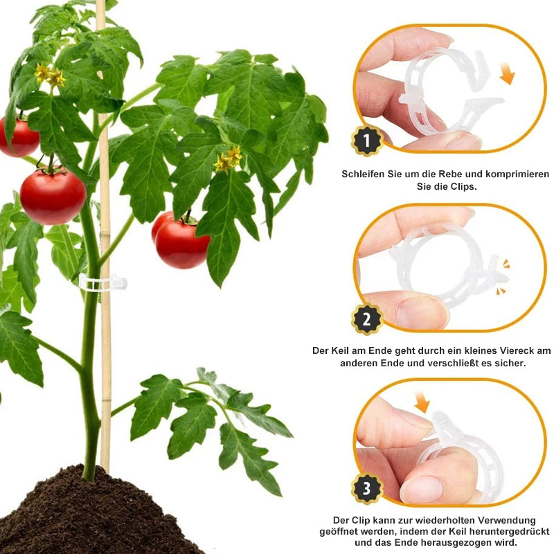 Ondersteuningsclips voor planten — Zachte bevestiging, Gezonde groei - 100 stuks