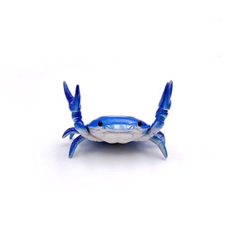 MarvelCrab Organizer — Directe Rust, Netjes Plezier