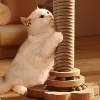 WhiskerJoy — Eindeloos Vrolijk Katplezier