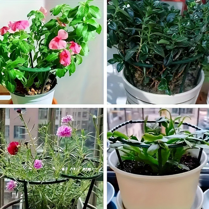 PlantSnap Ringen — Groei Sterk, Blijf Rechtop