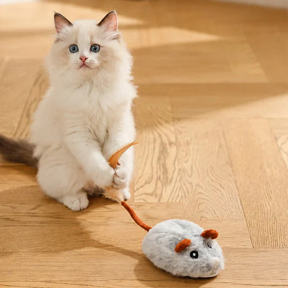 SwiftPounce – Ontketen Eindeloos Katplezier
