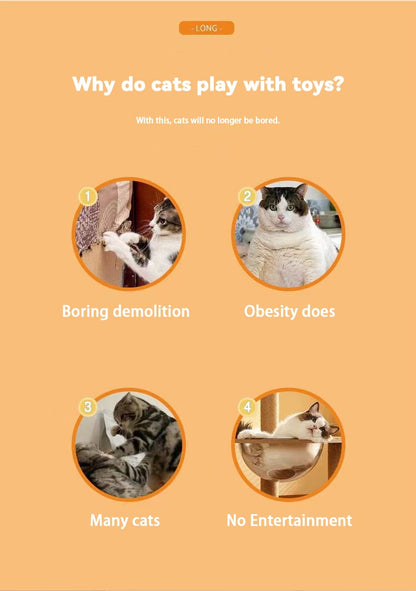 DuckFun™ – Interactieve mini-eendenvoederbak | 50% korting