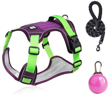 SafeWalk — Veilig Hondentuigje | 50% KORTING