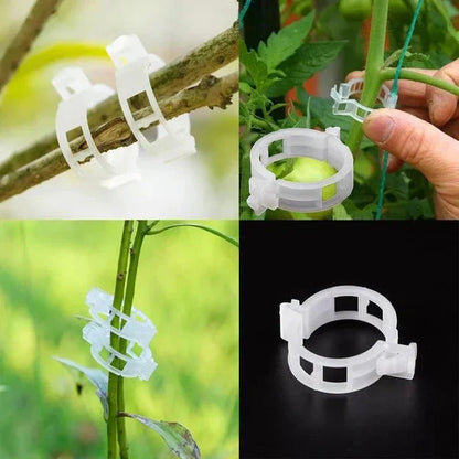 Ondersteuningsclips voor planten — Zachte bevestiging, Gezonde groei - 100 stuks