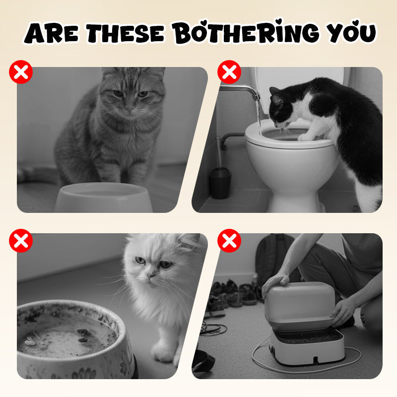 ArcadiaNest – Wandgemonteerde kattendrinkfontein | 2+1 GRATIS