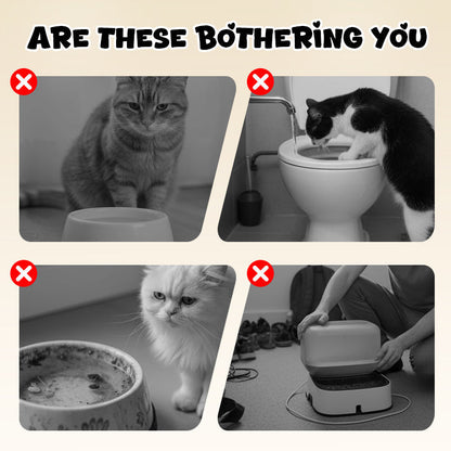 ArcadiaNest – Wandgemonteerde kattendrinkfontein | 2+1 GRATIS