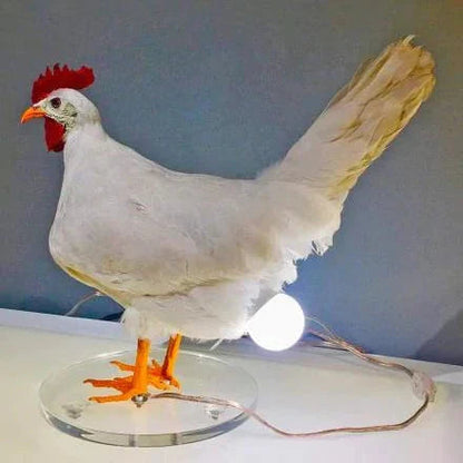 The CluckLight — Ontsteek Warmte, Inspireer Vreugde