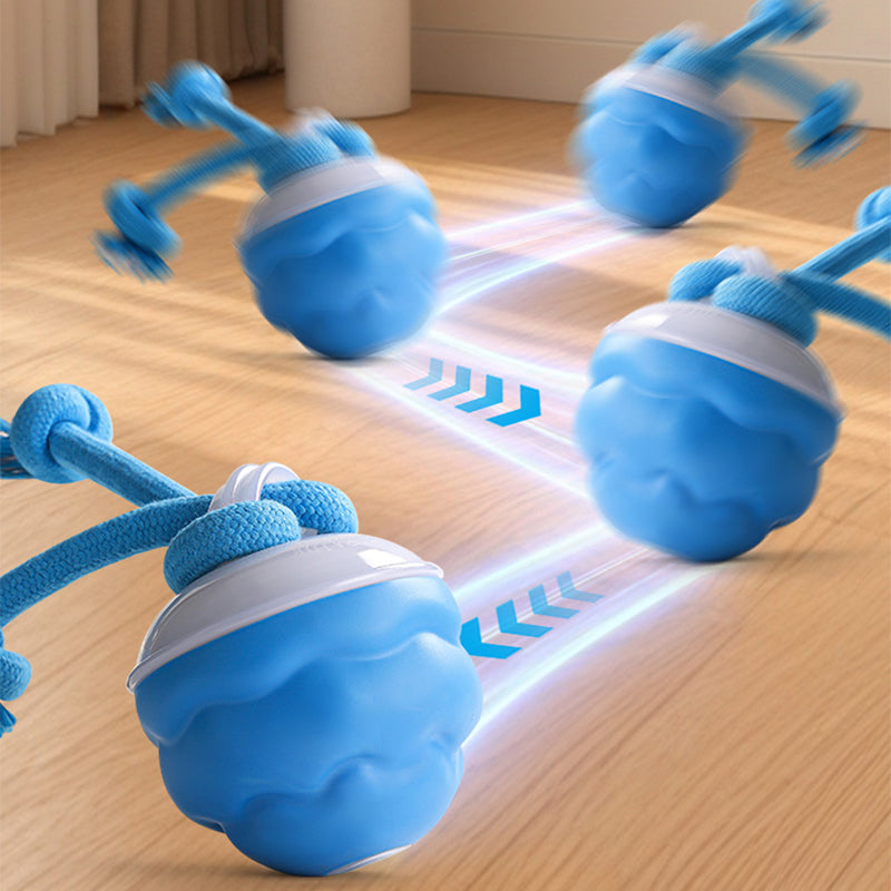 WhirlPaw – Interactieve Speelbal | 2+1 GRATIS