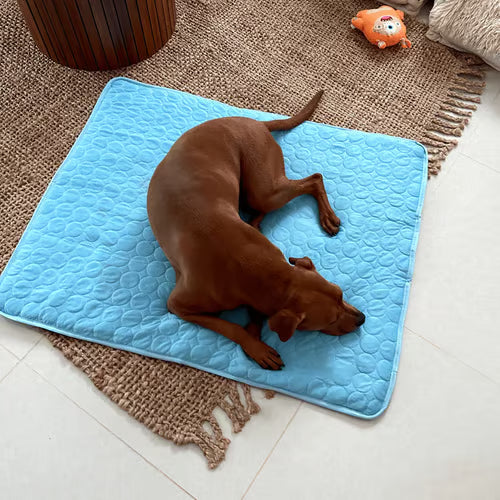 ChillPaw Matte – Direct Koeling en Comfort