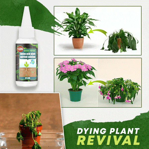 Plantenvoeding – Stimuleert Weelderige, Levendige Groei - 30ml