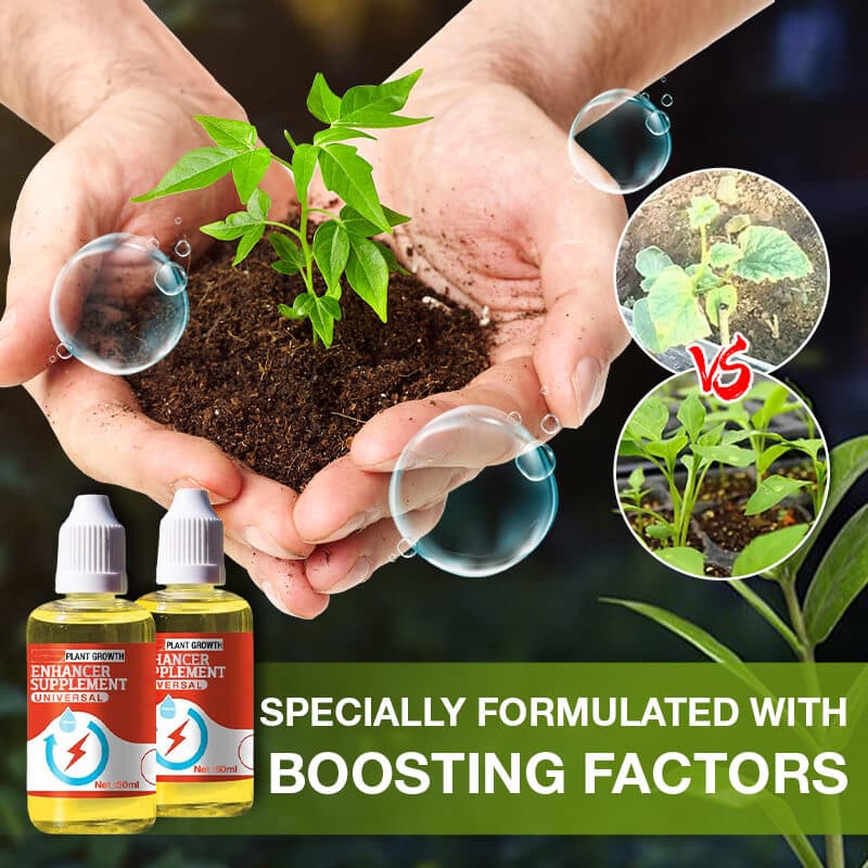 RootReign — Krachtige Wortel Booster | 1+1 GRATIS