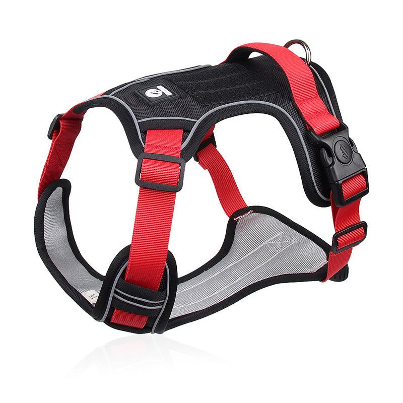SafeWalk — Veilig Hondentuigje | 50% KORTING