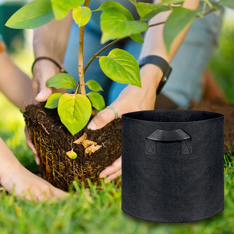 GeoRoot Plantzakken — Gezonde Wortels, Maximale Groei