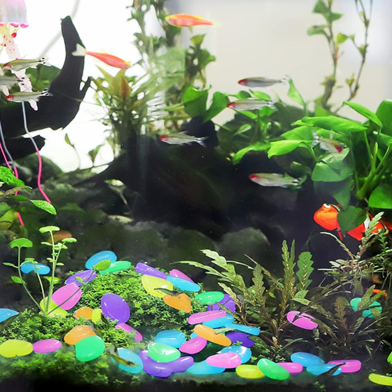 GlowPebbles — Glow Tuinstenen | 50% KORTING
