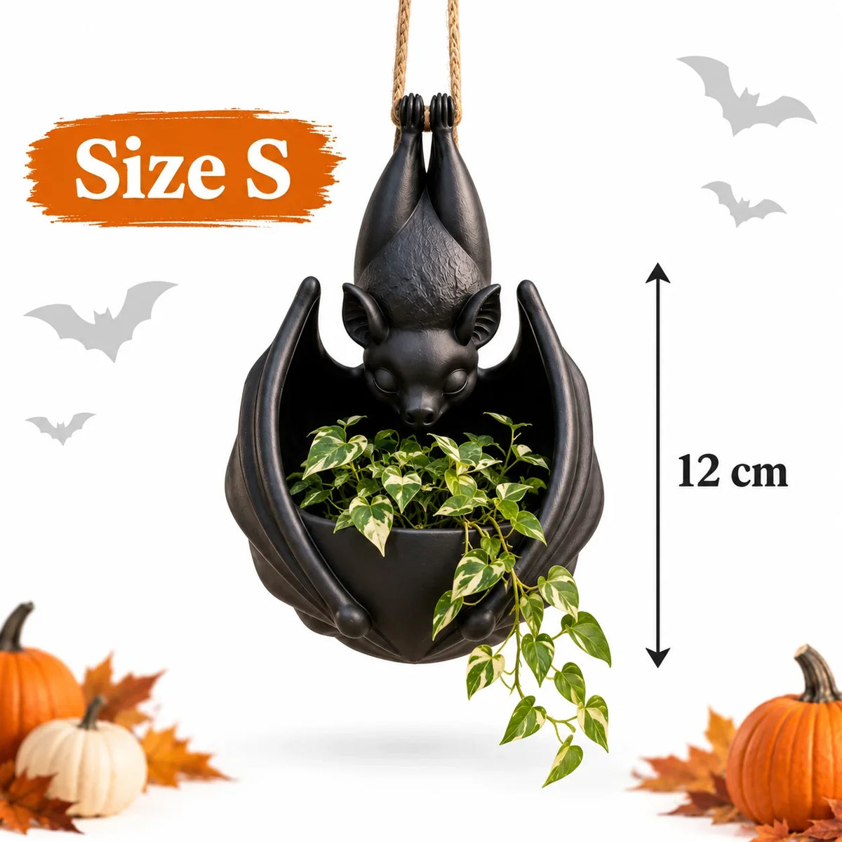 NoctaPot — Dramatische Elegant, Directe Charme