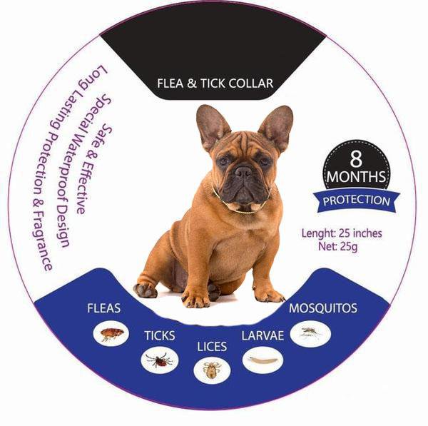 Frenchie vlooien- en tekenhalsband — moeiteloze, langdurige bescherming