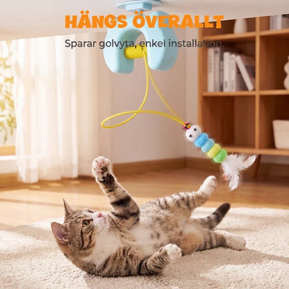 KittyWhirl — Oneindige Kattenenergie