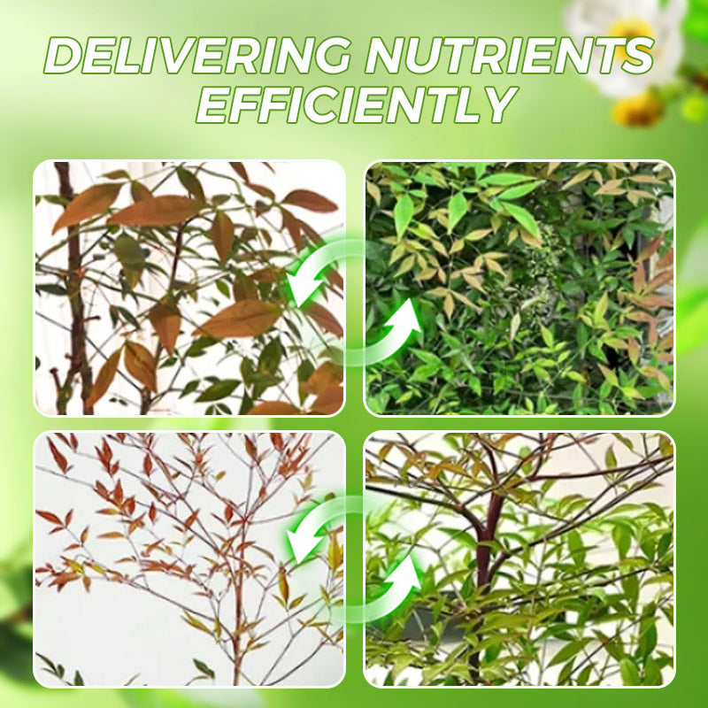 PlantPower Elixer 130ml — Stimuleer Levendige, Moeiteloze Groei