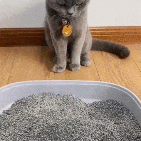 PetClean – Geurvrij Kattenbakschep-Set | 50% KORTING