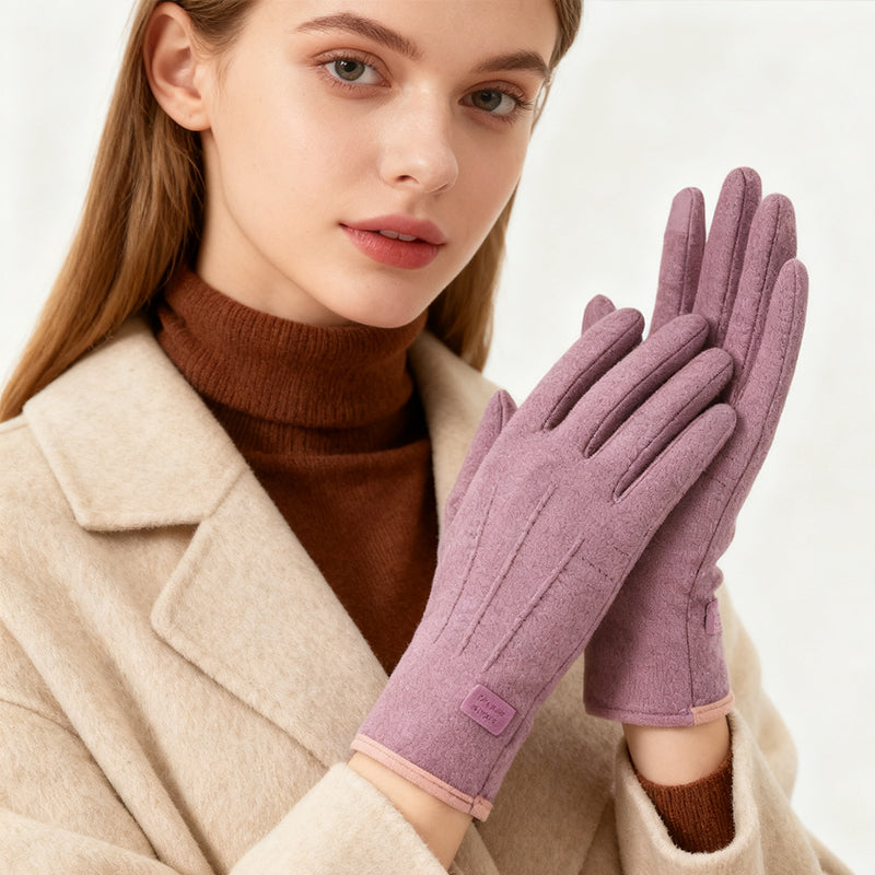 FrostGuard – Winddichte, Warme Handschoenen