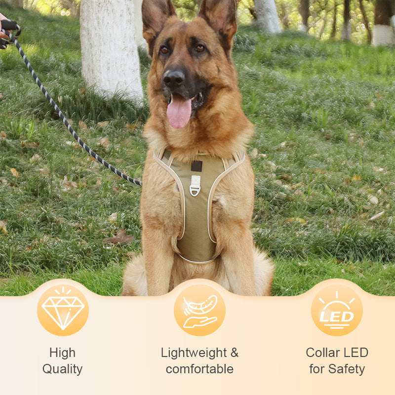 SafeWalk — Veilig Hondentuigje | 50% KORTING