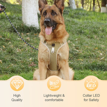 SafeWalk — Veilig Hondentuigje | 50% KORTING