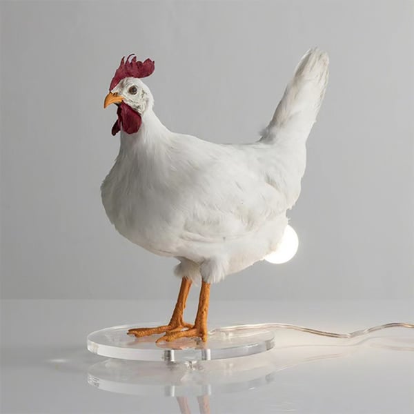 The CluckLight — Ontsteek Warmte, Inspireer Vreugde