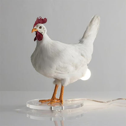 The CluckLight — Ontsteek Warmte, Inspireer Vreugde